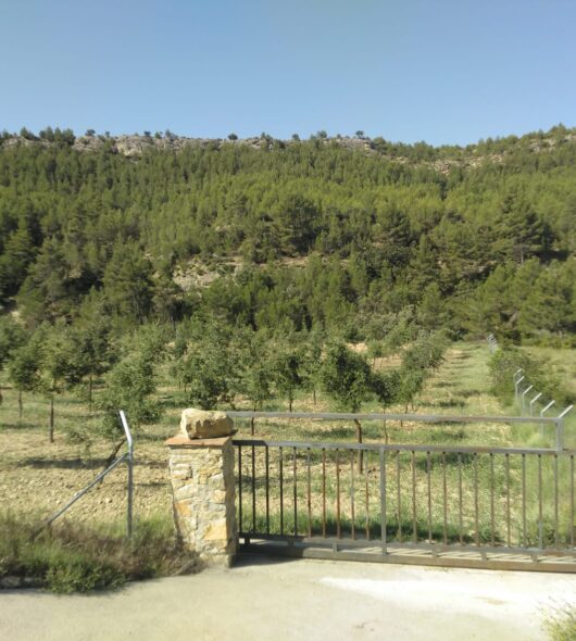 Entrada finca Mas de Sant Antoni